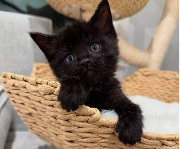 PART 4: THE DARKER PATH TO&nbsp;LOVE